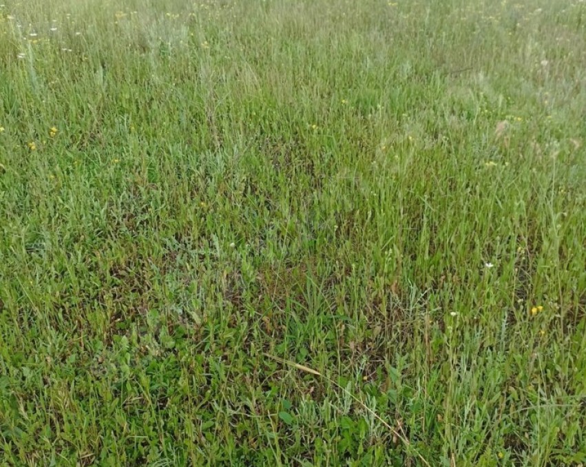 TOKAT ERBAA OKULUN KARŞISINDA 320M2 İMARLI MERKEZİ KONUMDA ARSA